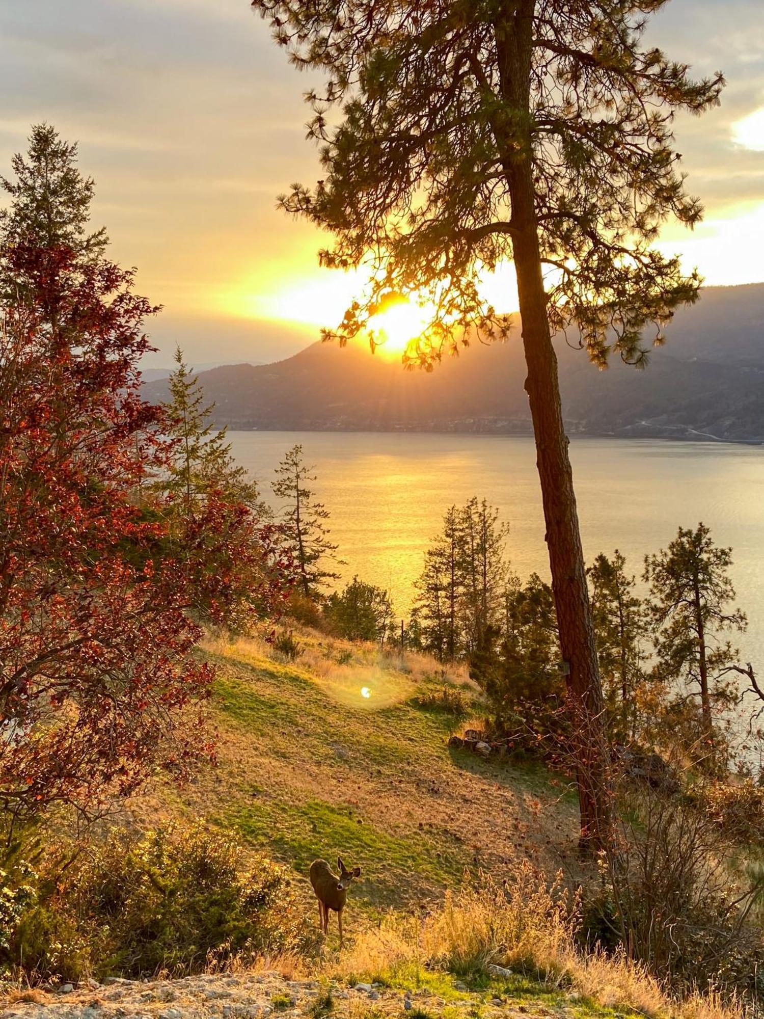 Kelowfornia Lakeview Retreat Kelowna Exterior photo